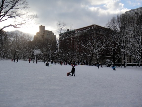 Snjódagur í Central Park