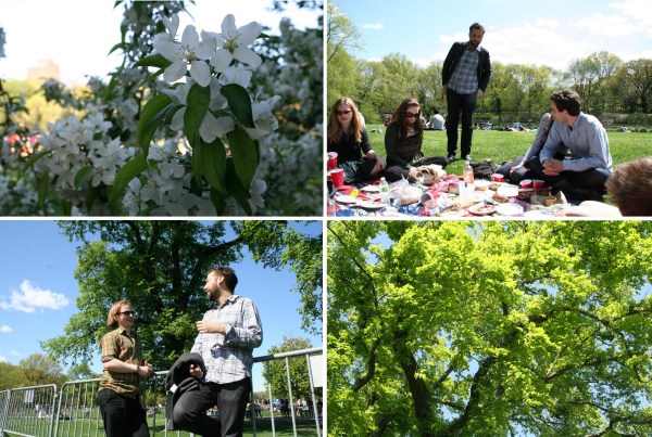 Afmælisgleði í Central Park