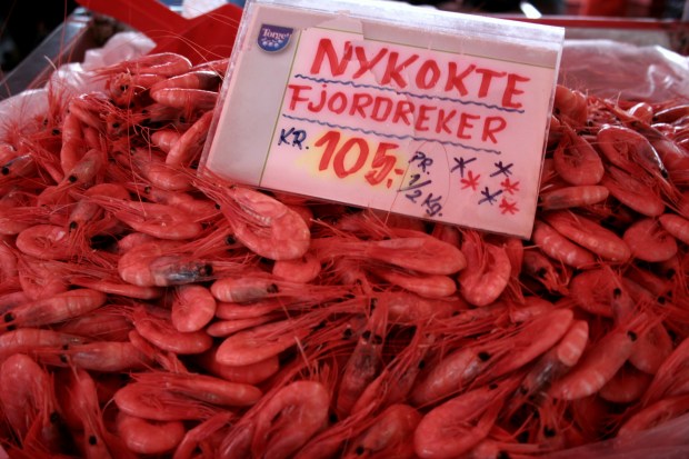 Rækjur á fiskmarkaðnum