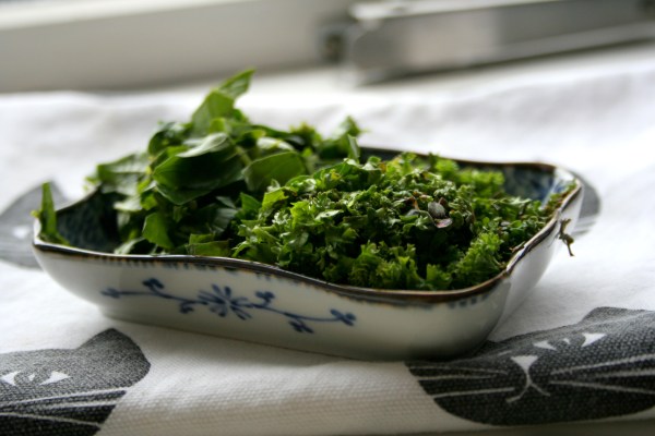 ítalskar kryddjurtir