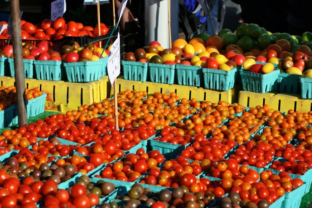 tómatar á markaðinum