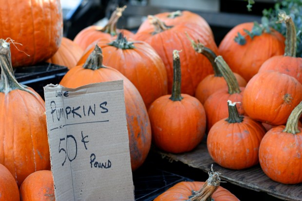 grasker á markaðinum