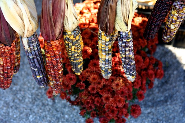 blóm og þurrkaður maís á markaðinum